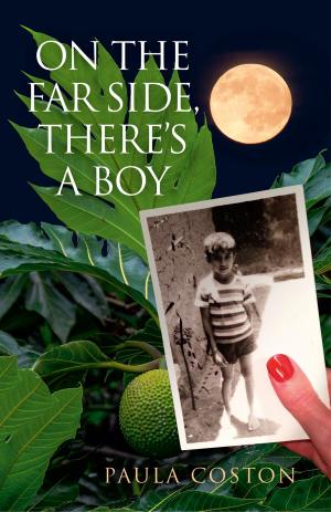 bigCover of the book On the Far Side, There's a Boy by 