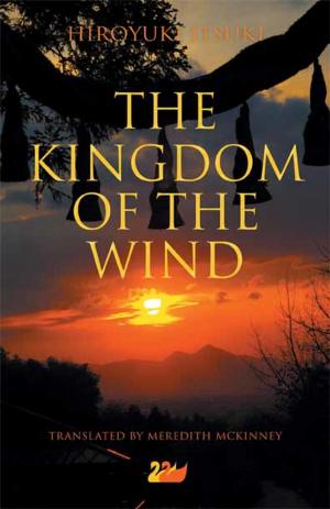 Cover of the book The Kingdom of the Wind by J.E. Spatafore