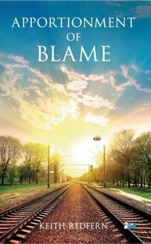 Cover of the book Apportionment of Blame by Esther Verhoef