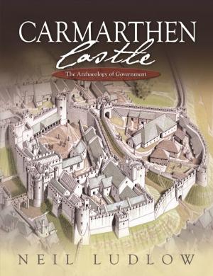 Cover of the book Carmarthen Castle by Janet Burton, Karen Stöber