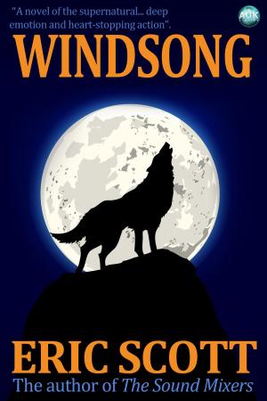 Cover of the book Windsong by Allan Mitchell