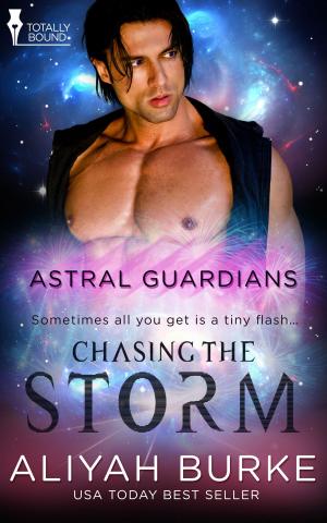 Cover of the book Chasing the Storm by BA Tortuga