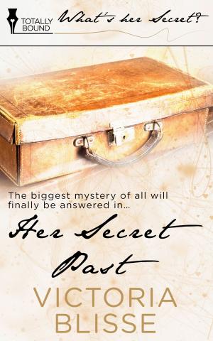 Cover of the book Her Secret Past by Alysha Ellis, BA Tortuga, Nan Comargue