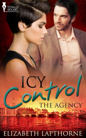 Cover of the book Icy Control by Elizabeth Coldwell
