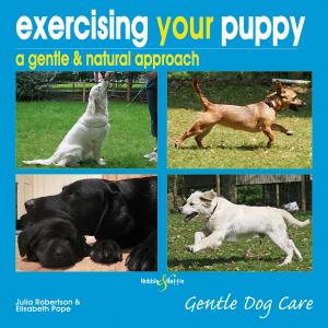 Cover of the book Exercising your puppy: a gentle & natural approach by Richard Michell