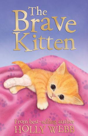 Book cover of The Brave Kitten