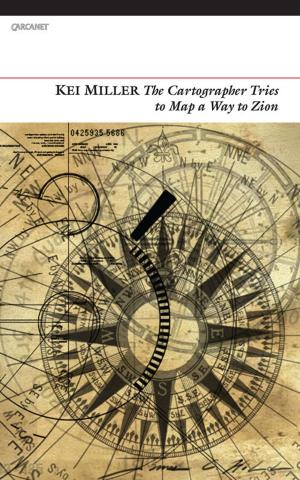 Cover of the book The Cartographer Tries to Map a Way to Zion by David Herd