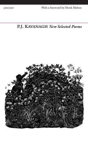 Cover of the book New Selected Poems by Karen Press