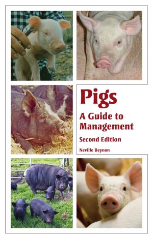 Cover of the book Pigs by Robin Jones