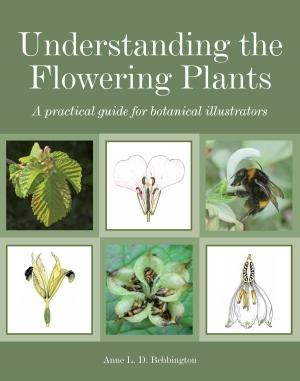 Cover of the book Understanding the Flowering Plants by Margaret Allen