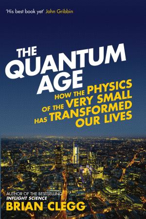 Cover of the book The Quantum Age by Meg-John Barker