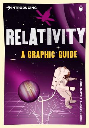 Cover of the book Introducing Relativity by Dan Cryan, Sharron Shatil