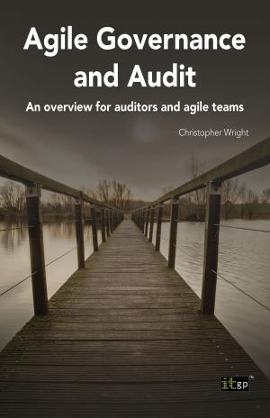 Cover of the book Agile Governance and Audit by Valerie Maddock
