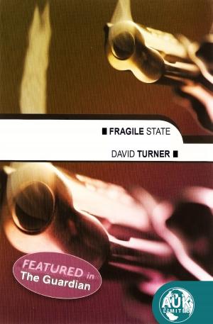 Cover of the book Fragile State by Matt Edge