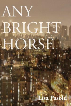 Cover of the book Any Bright Horse by j fisher