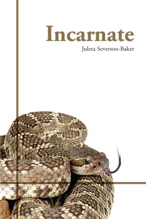 Cover of the book Incarnate by Kirk Ramdath