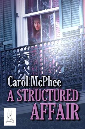 Cover of the book A Structured Affair by Kristen Beairsto