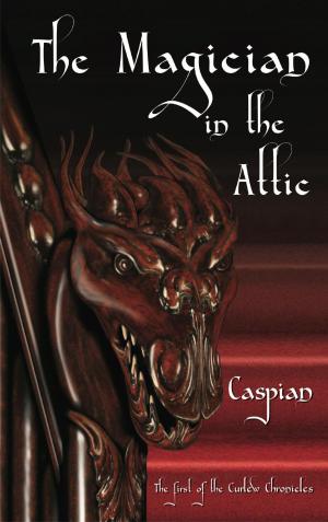 Cover of the book The Magician in the Attic by PR Pope
