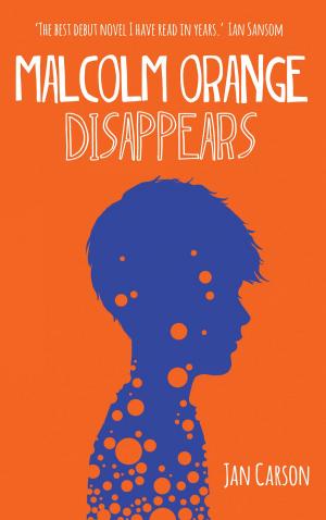 Cover of the book Malcolm Orange Disappears by Risteárd Mulcahy