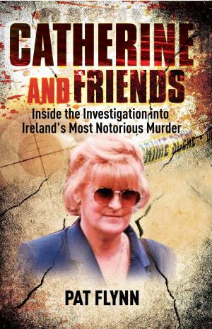 Cover of the book Catherine and Friends by Niamh O'Sullivan