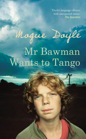 Cover of the book Mr Bawman Wants to Tango by Declan Burke