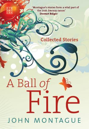 Book cover of A Ball of Fire