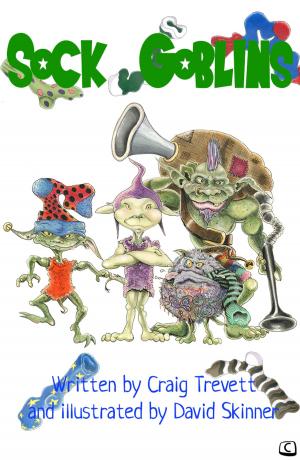 Cover of the book Sock Goblins by Geoff Motley