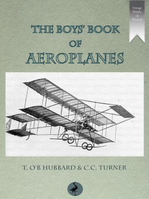Cover of the book The Boys' Book of Aeroplanes by E. Comyns-Lewer, S. Lewer