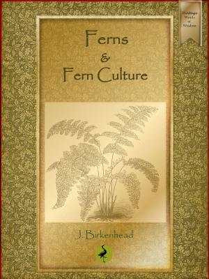 Cover of the book Ferns and Fern Culture by Mrs Isabella Beeton