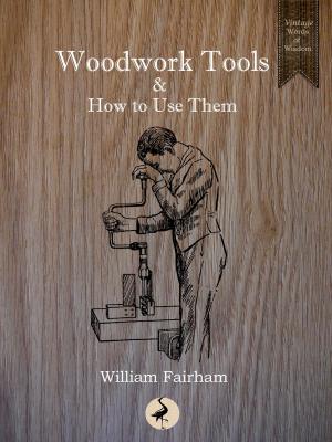 Cover of the book Woodwork Tools and How to Use Them by William Heath Robinson