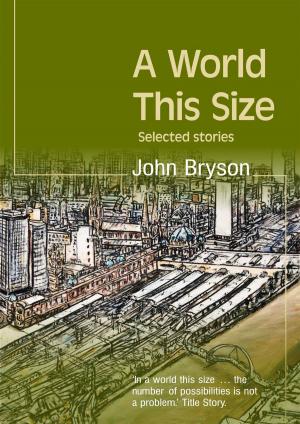 Book cover of A World This Size