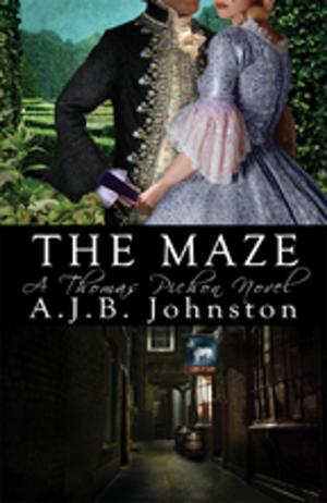 Cover of the book The Maze by Cassie Deveaux Cohoon