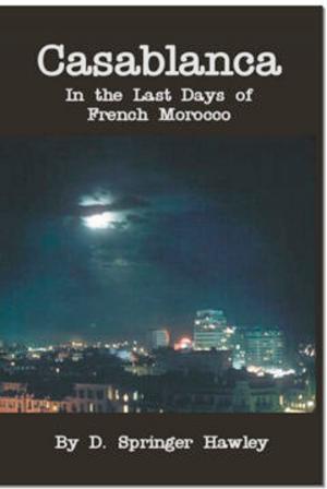Cover of the book Casablanca by Wendy Dewar Hughes