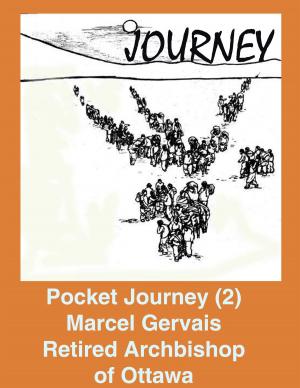 bigCover of the book Pocket Journey (2) by 