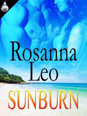 Cover of the book Sunburn by Rebecca Royce