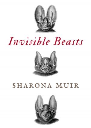 Cover of the book Invisible Beasts by Jerome Charyn
