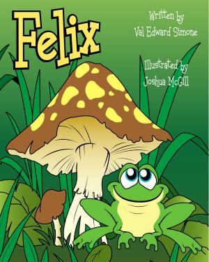 Book cover of Felix