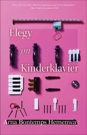 Book cover of Elegy on Kinderklavier