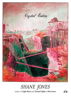 Cover of the book Crystal Eaters by Eleanor Kriseman