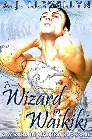 Cover of A Wizard in Waikiki