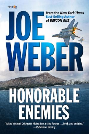 Cover of the book Honorable Enemies by Joe Cron