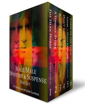 Cover of the book Male/Male Mystery and Suspense Box Set: 6 Novellas by Jack Cavanaugh