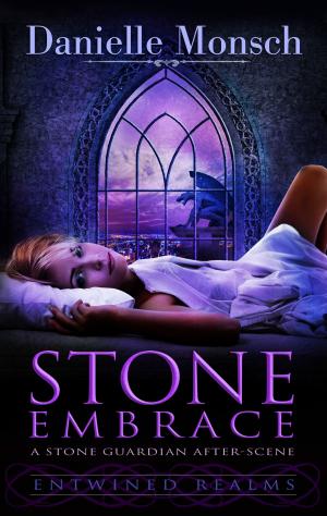 Cover of the book Stone Embrace by Jane Lebak, Elissa Strati