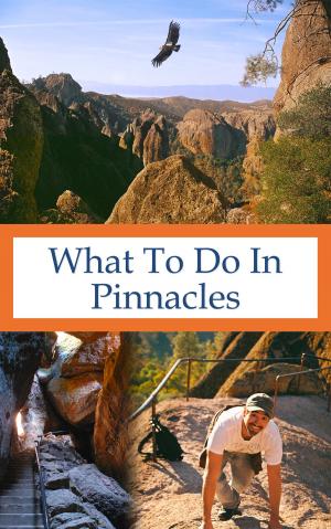 Cover of the book What To Do In Pinnacles by Carey Harris