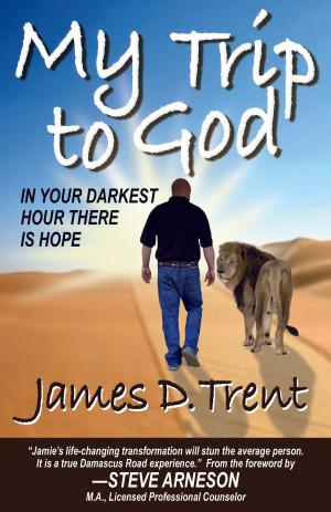 Cover of the book My Trip to God by Thomas Wesley Weeks, Sr.