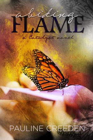 Cover of the book Abiding Flame by Diane Gates