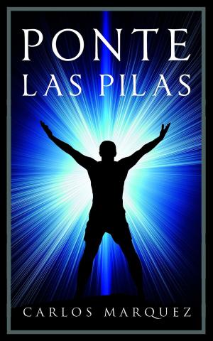 Cover of the book Ponte Las Pilas by Ivette Gouws