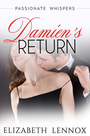 Cover of the book Damien's Return by Brickley Jules
