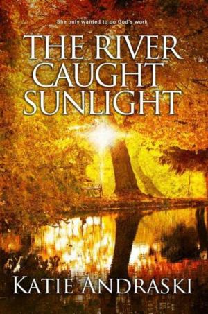Book cover of The River Caught Sunlight