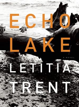 Cover of the book Echo Lake by James Greer, Robert Pollard